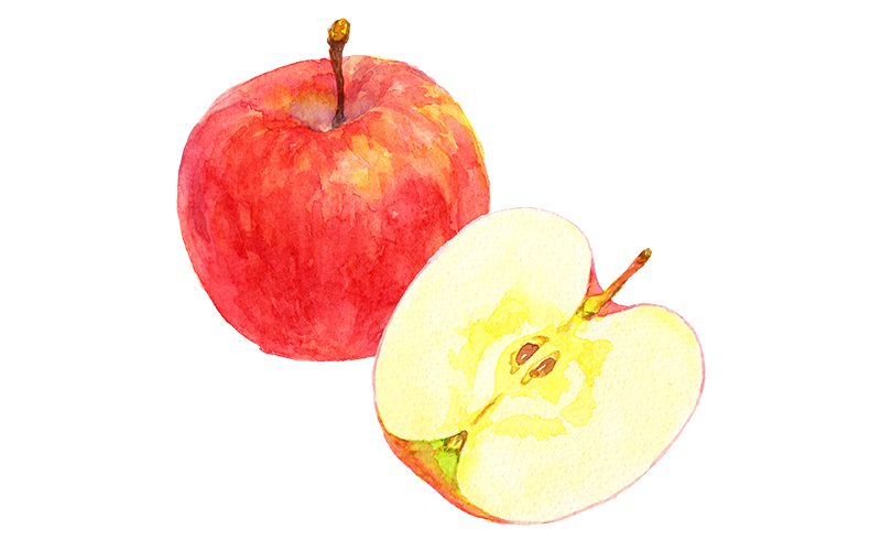 リンゴのイラスト