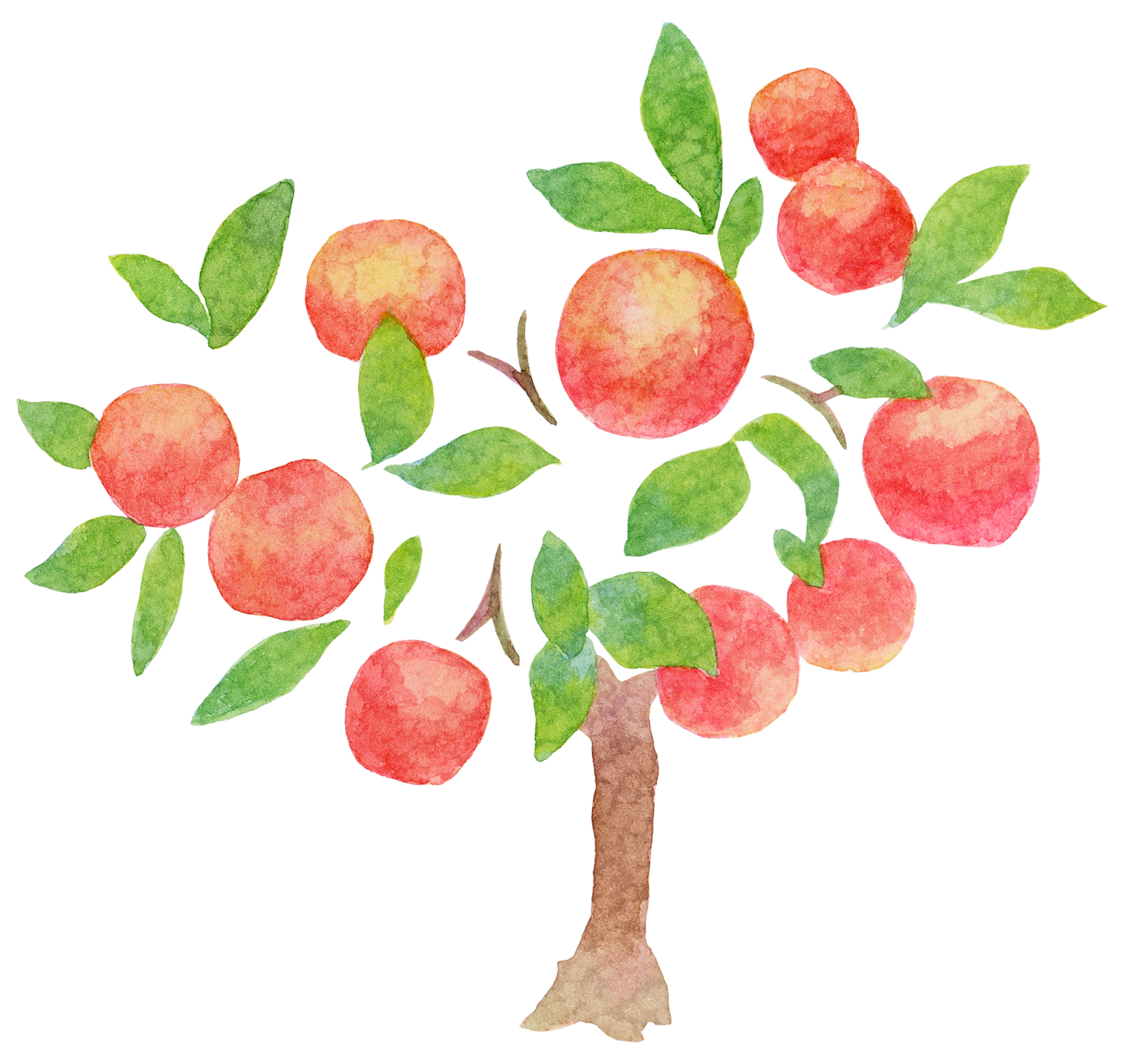 りんごのイメージ